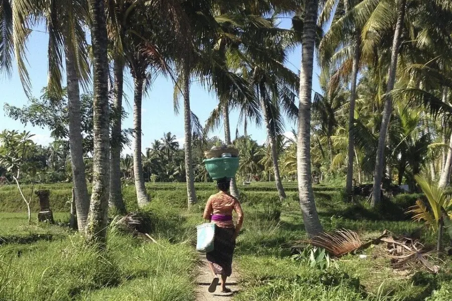 Bali woman