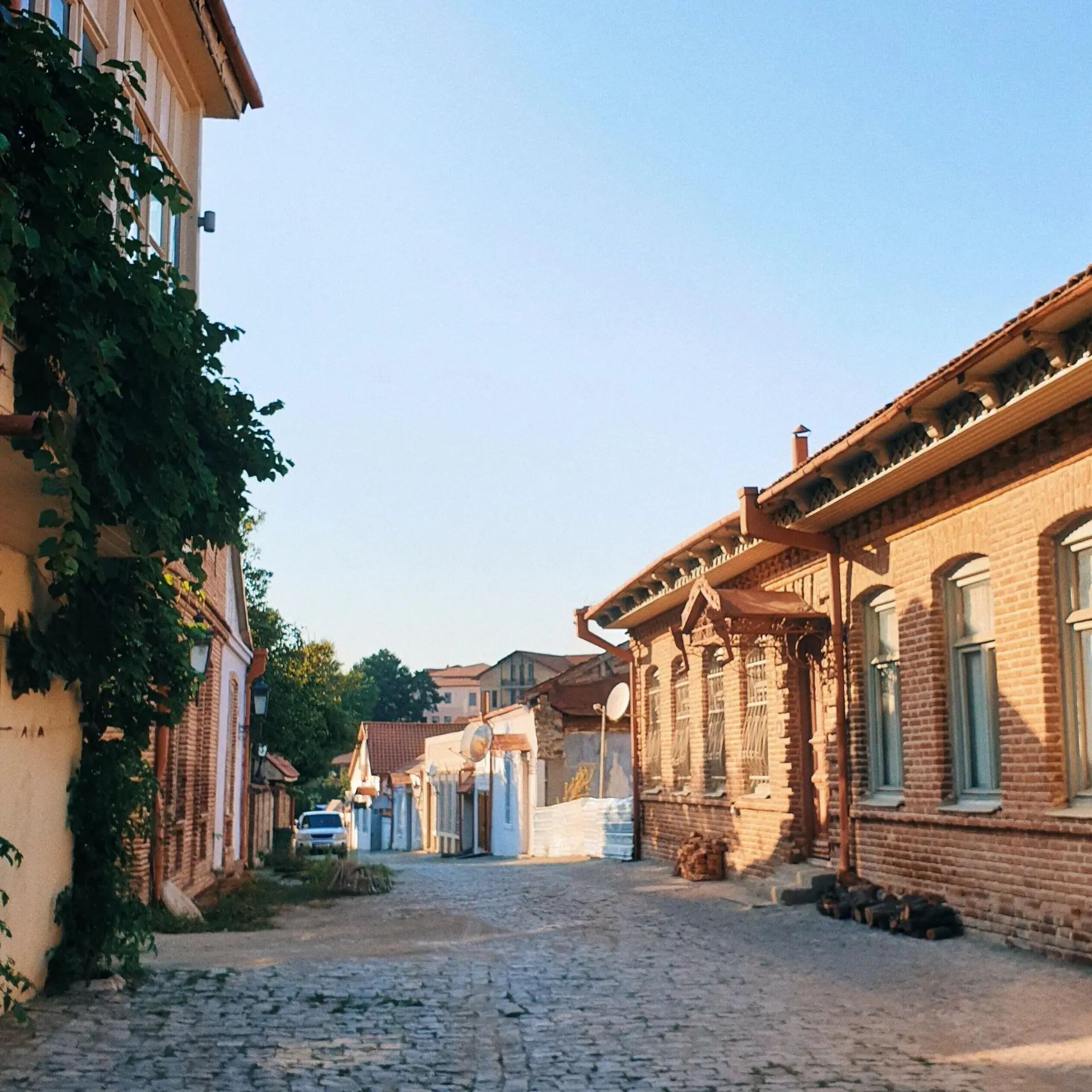 Alex shu rydjzatu1we unsplash