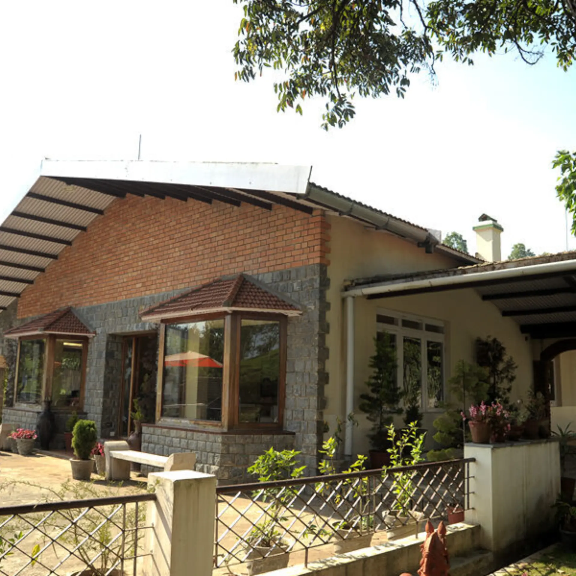 Tea nest front view