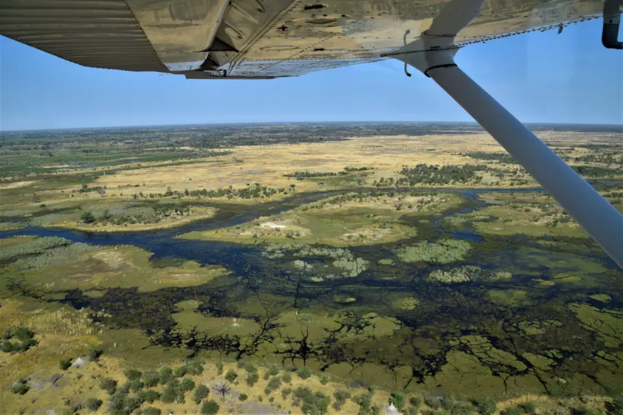Freekvanootegem Botswana 2391501