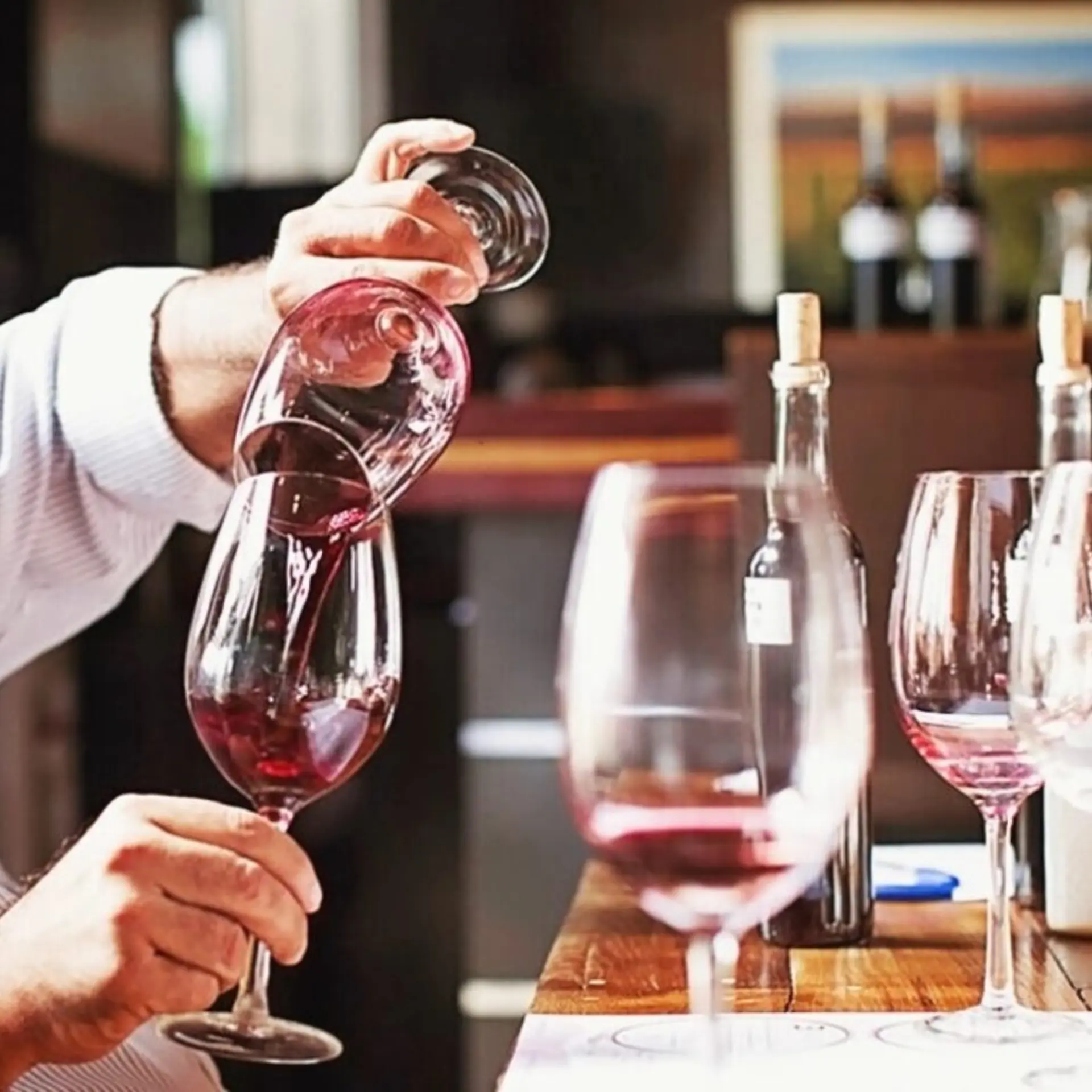 1741879659494 Vinologist