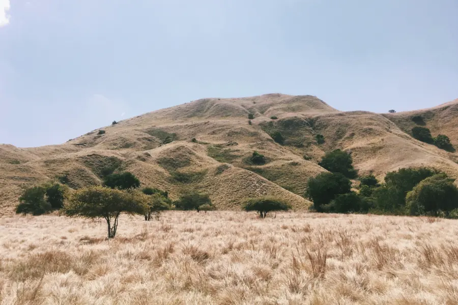 Marcella oscar 5vhu1toxihq unsplash