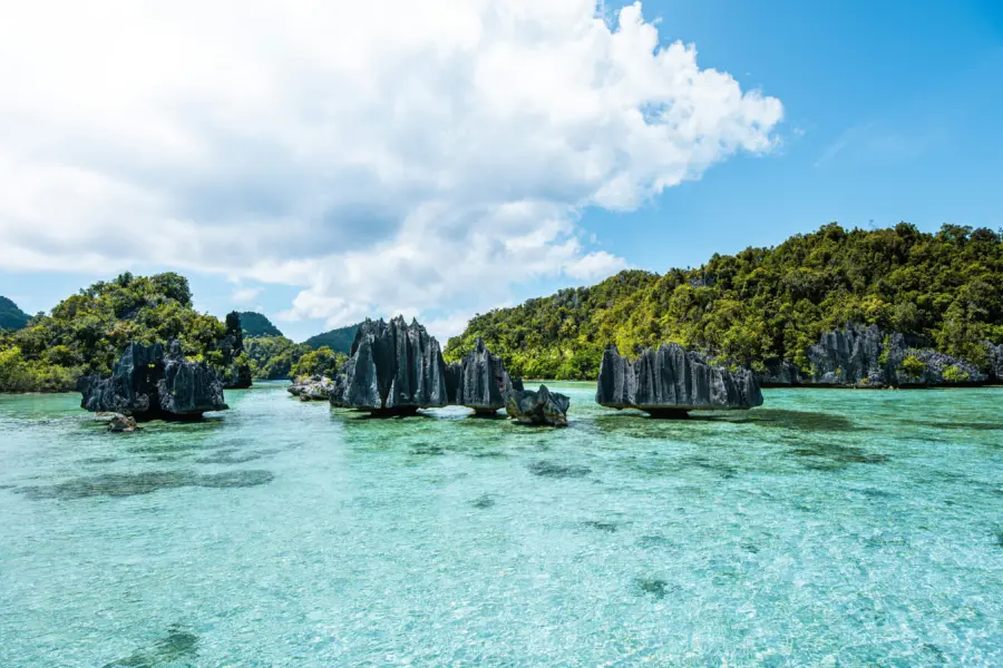Simon spring x3f81f 1ih8 unsplash1