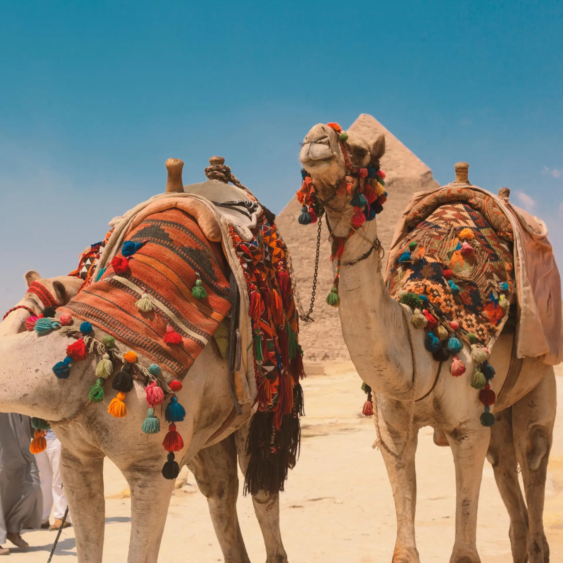 Omar elsharawy vvmbsvbtopm unsplash