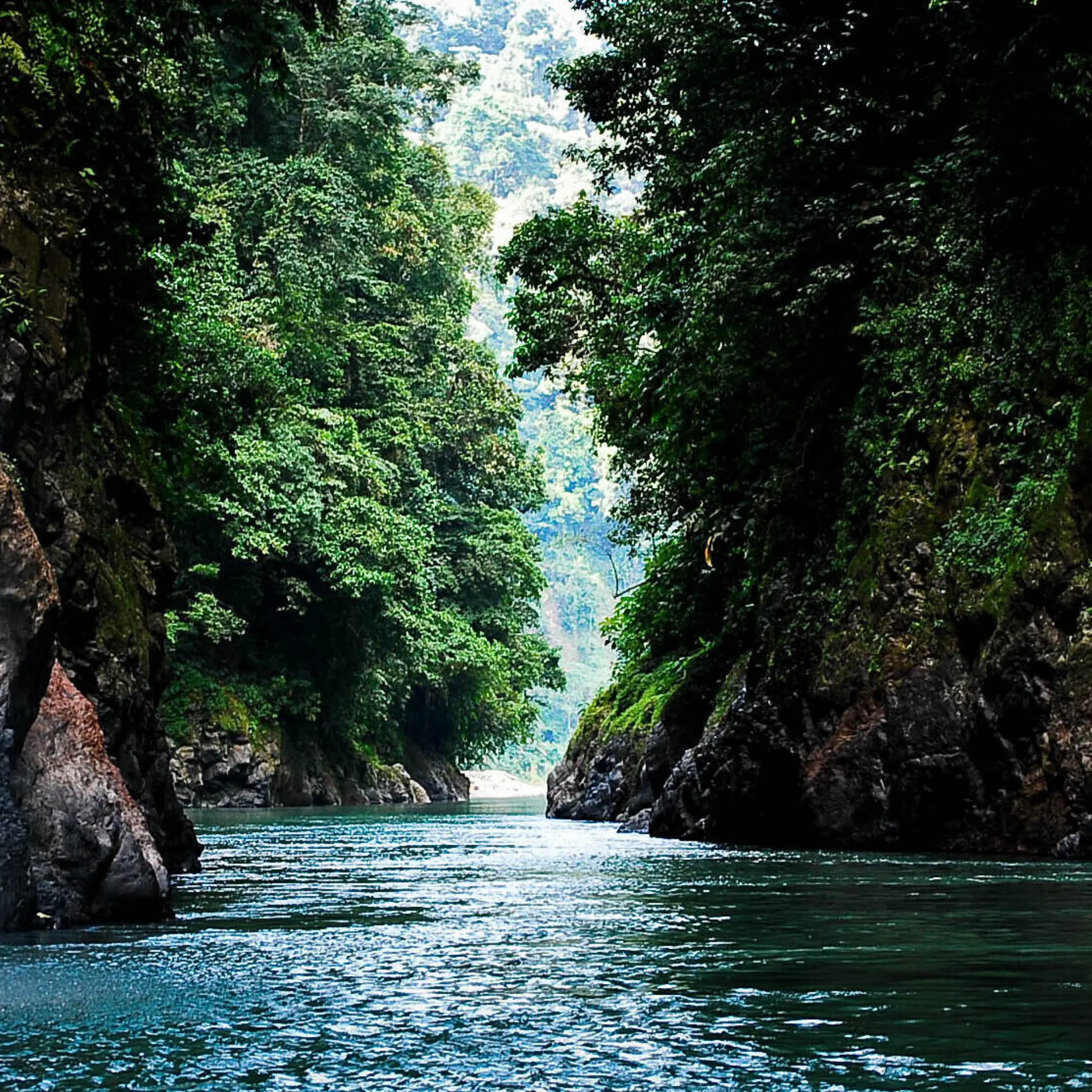 Pacuare river