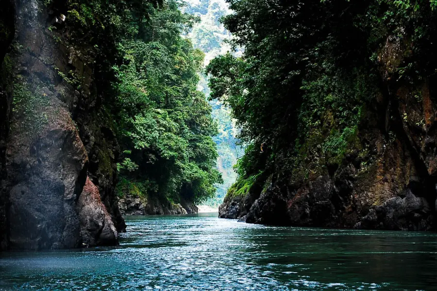 Pacuare river