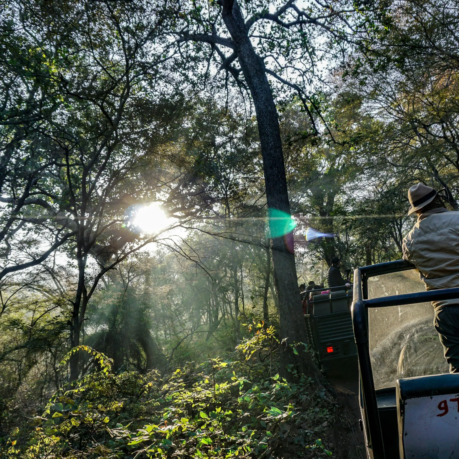 Madhushree Narayan iinkuczfbfc Unsplash