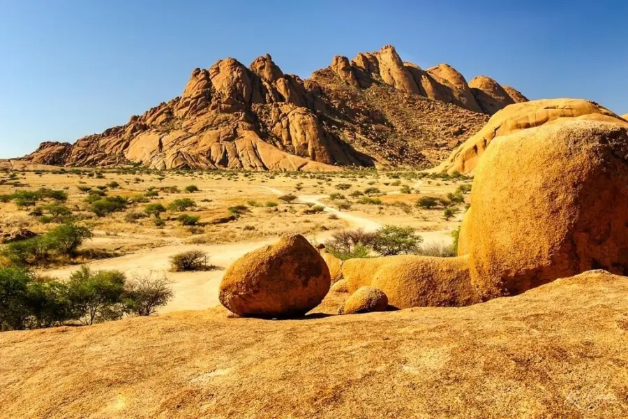 Day11 twyfelfontein1 0005