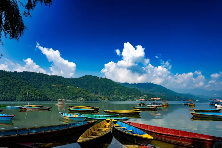 Meera pankhania 7cenzhgyf7c unsplash