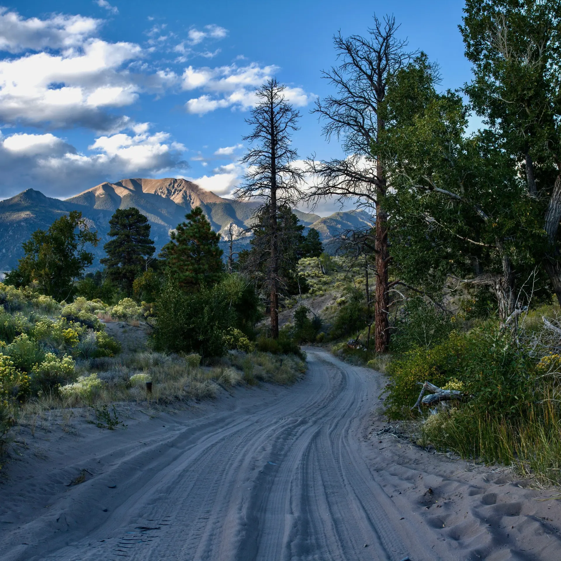 1740143269180 gary smith Z Cwk2 Ng4f D0 unsplash