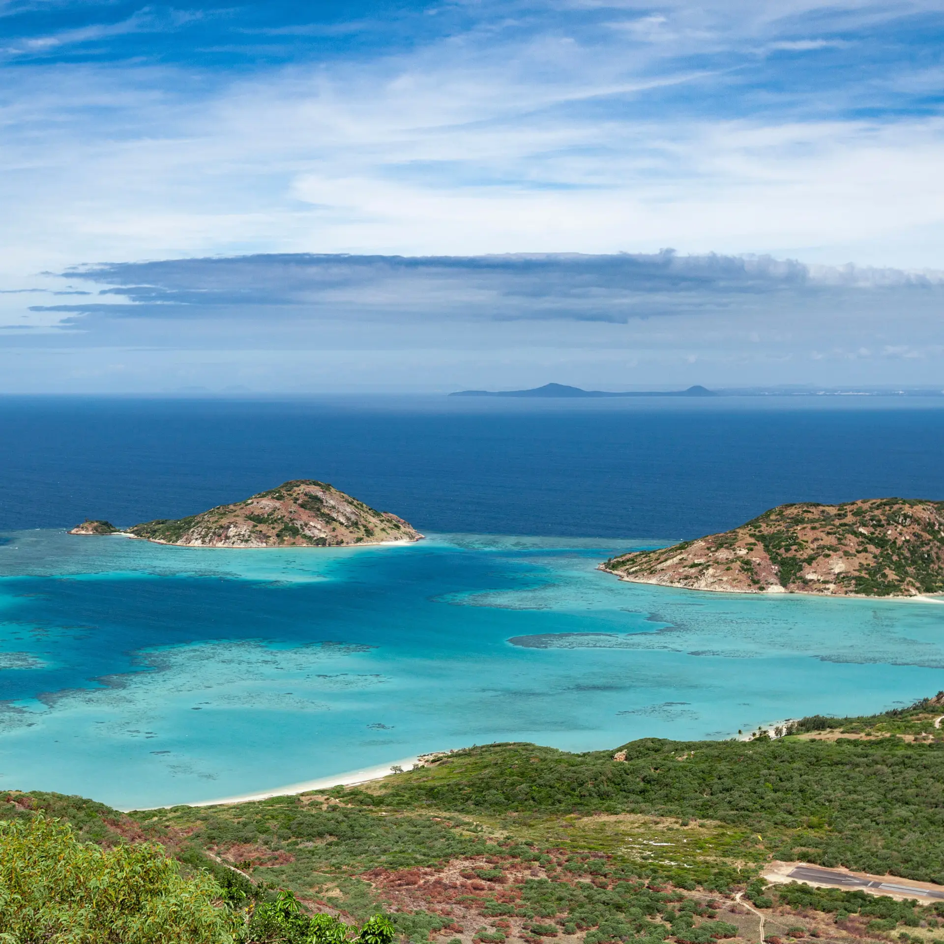 Selizardisland002