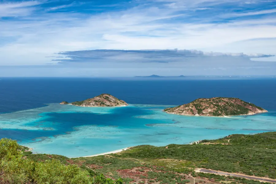 Selizardisland002