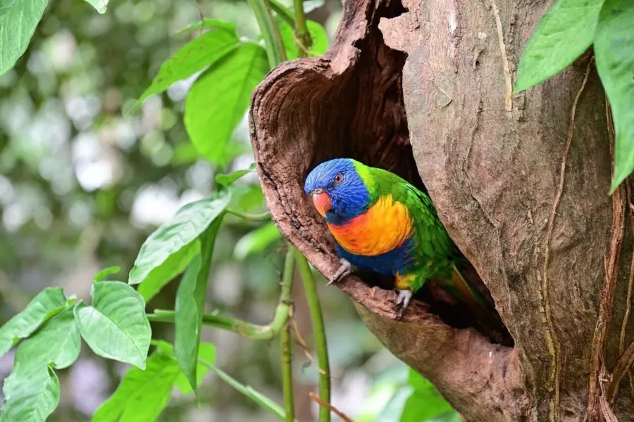 Parrot 73130761280