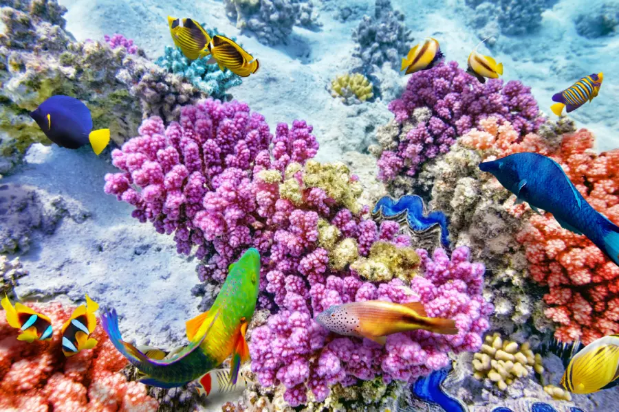 Underwater World1