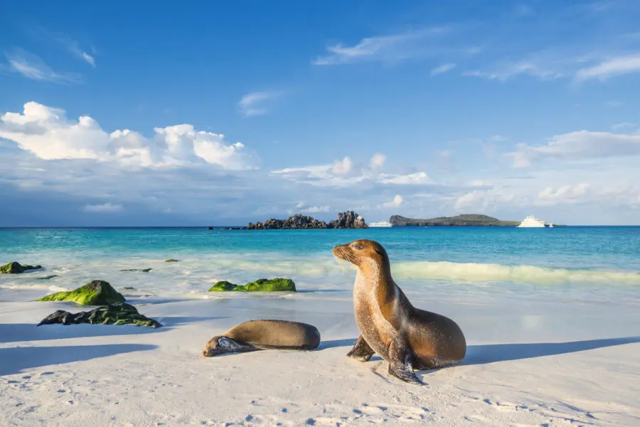 Galapagos istock 6747815481