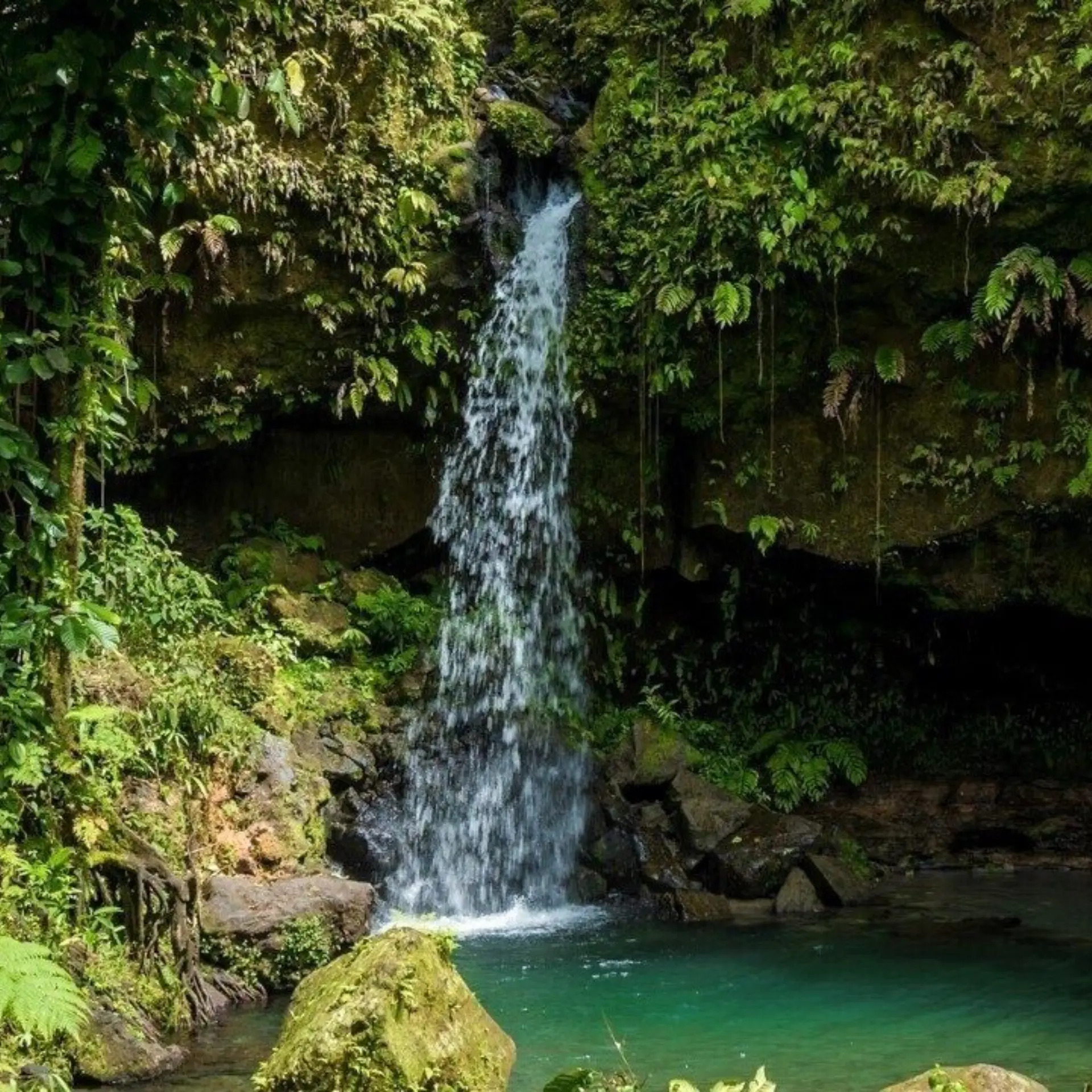 Emerald Pool (edited 2)
