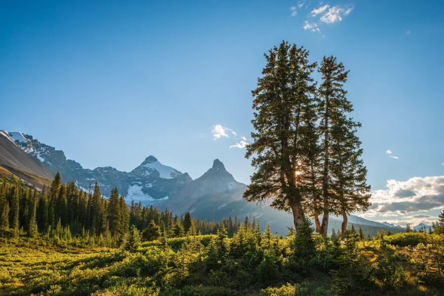 Chris stenger gmrslh9j7ug unsplash1