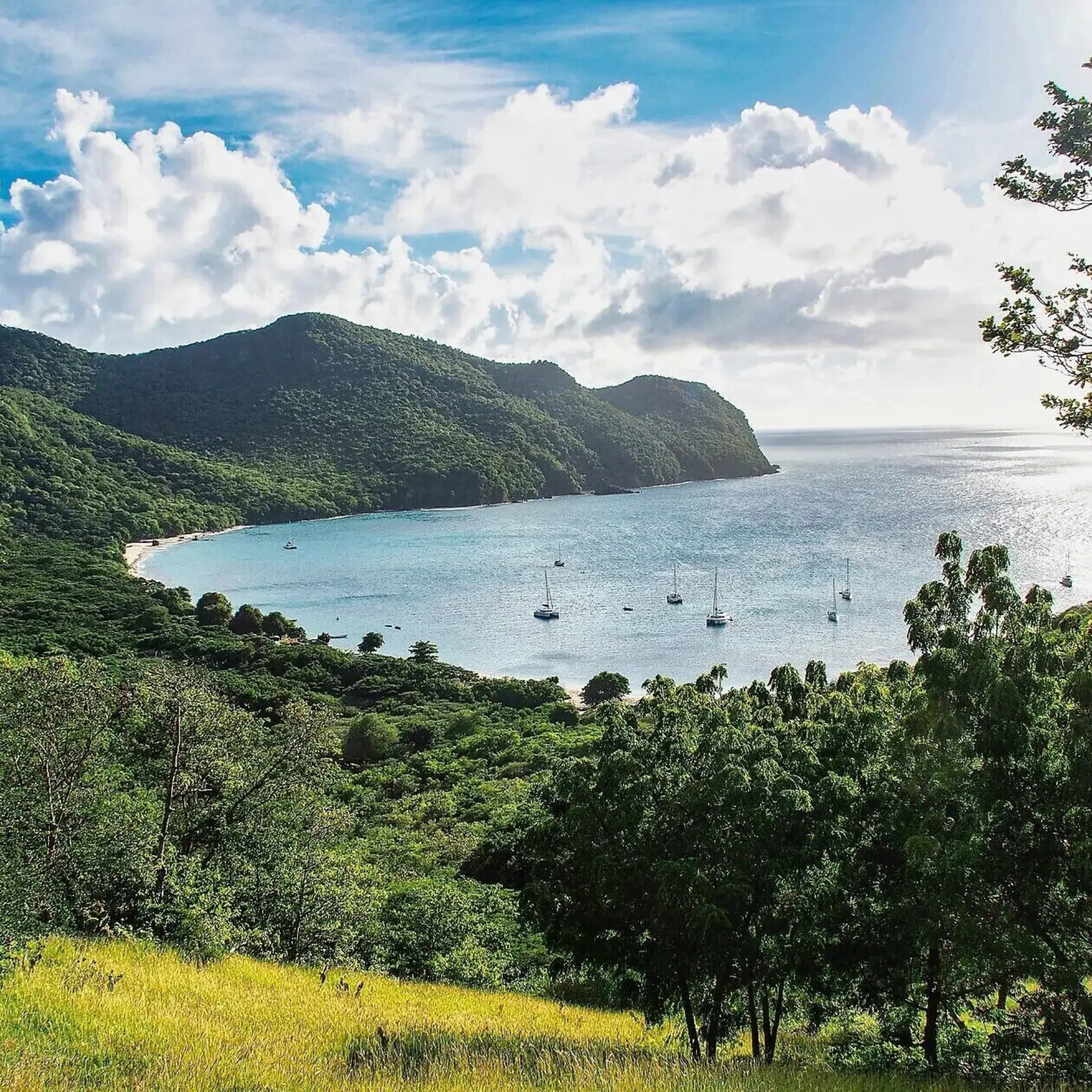 Union Island (large)