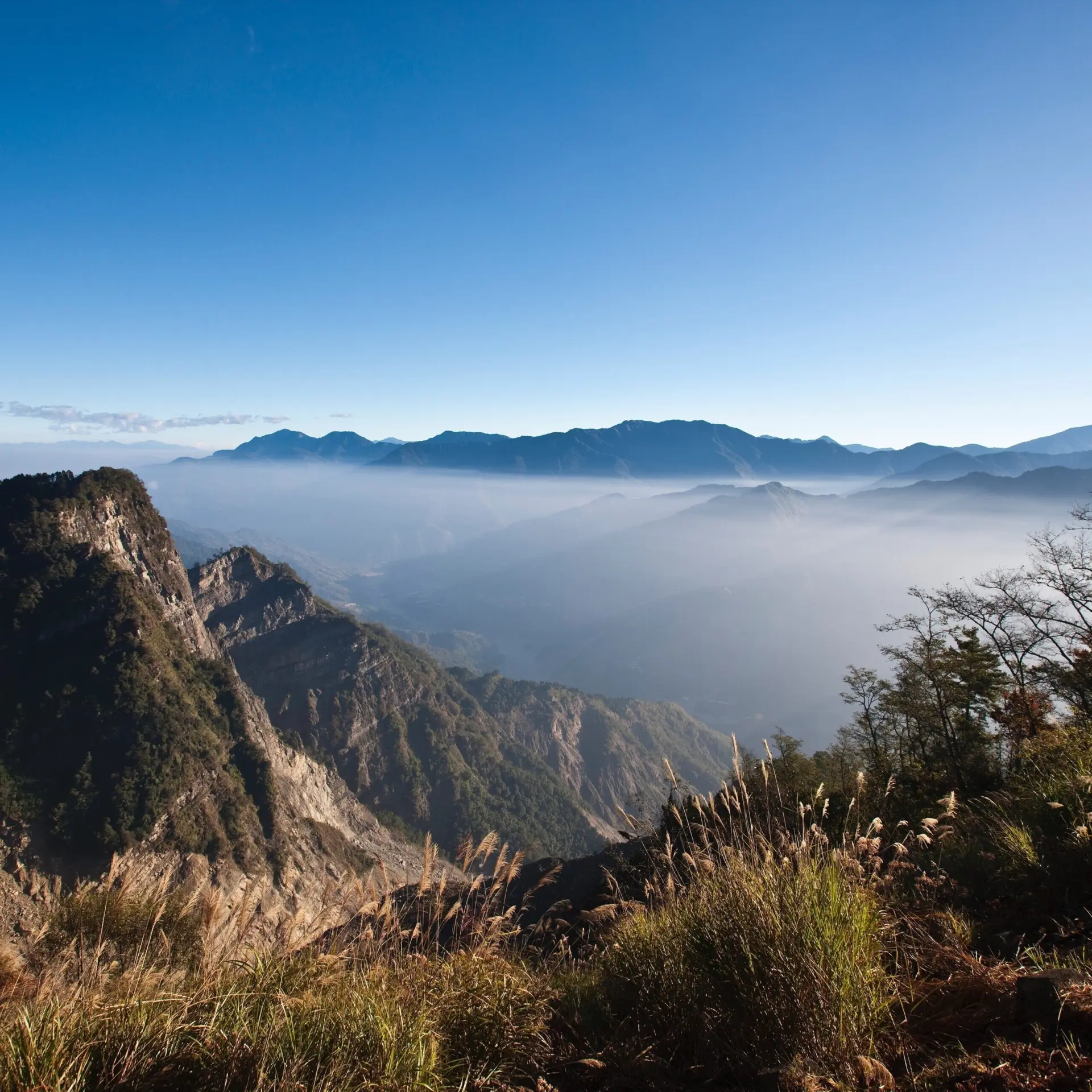 Avila Travel Taiwan Alishan