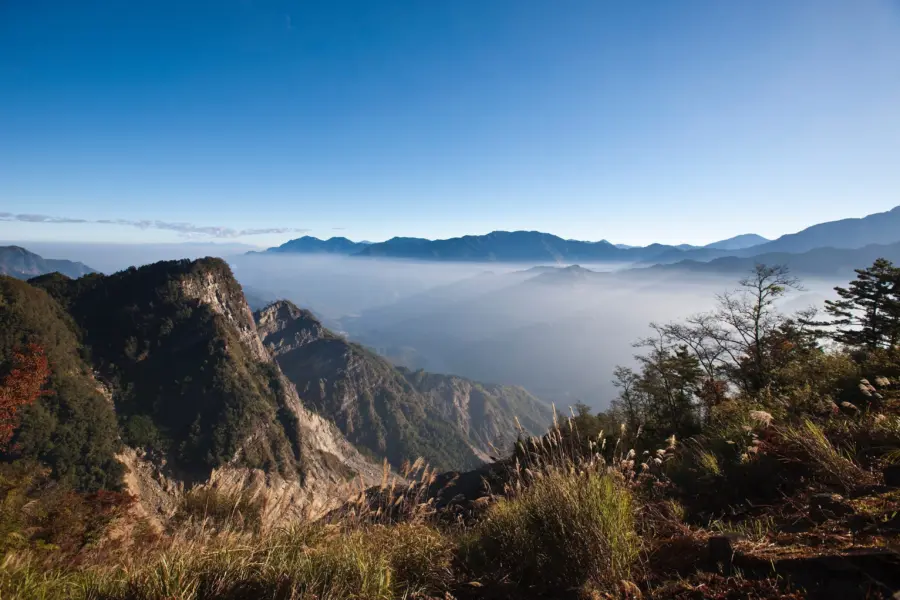 Avila Travel Taiwan Alishan