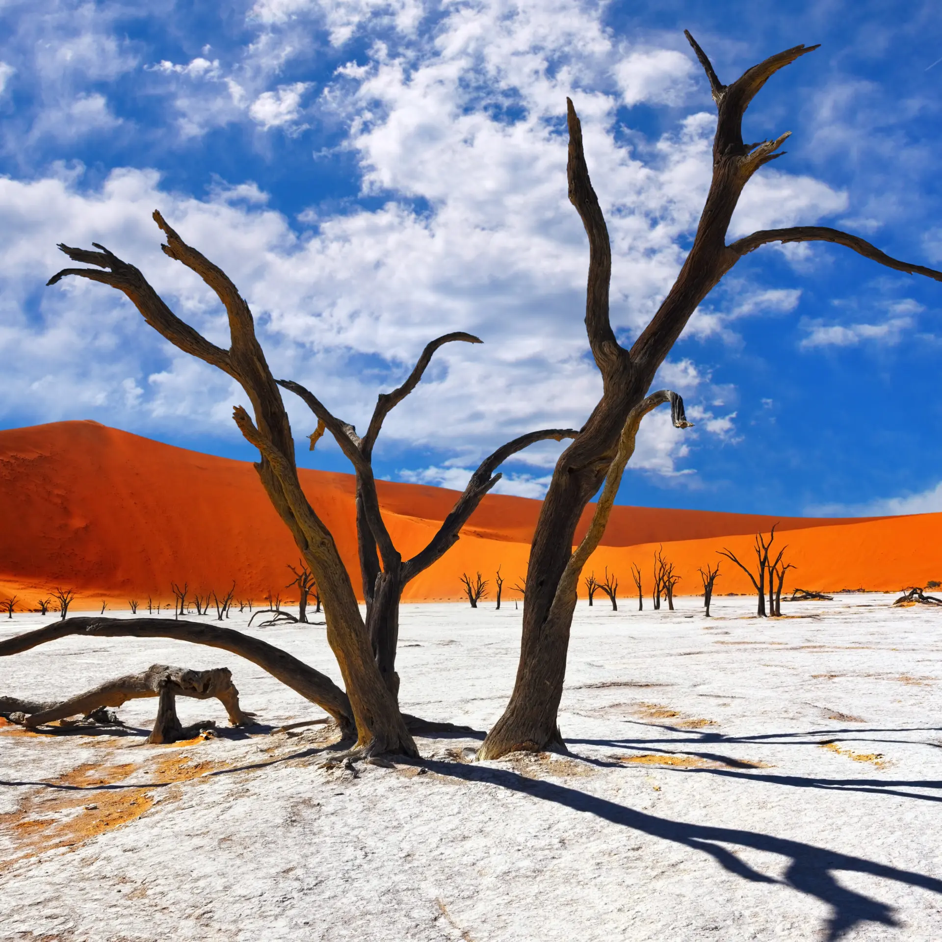 Sossusvlei
