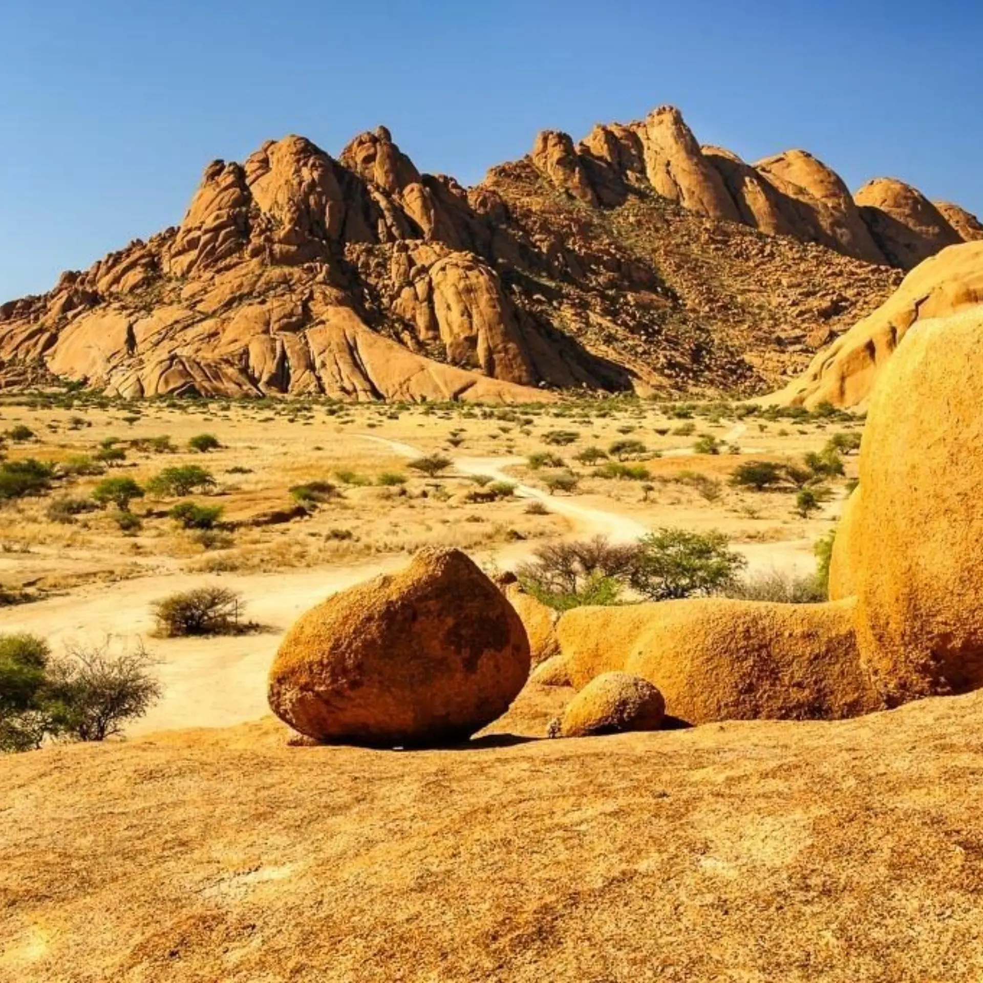 Day11 twyfelfontein1 0005