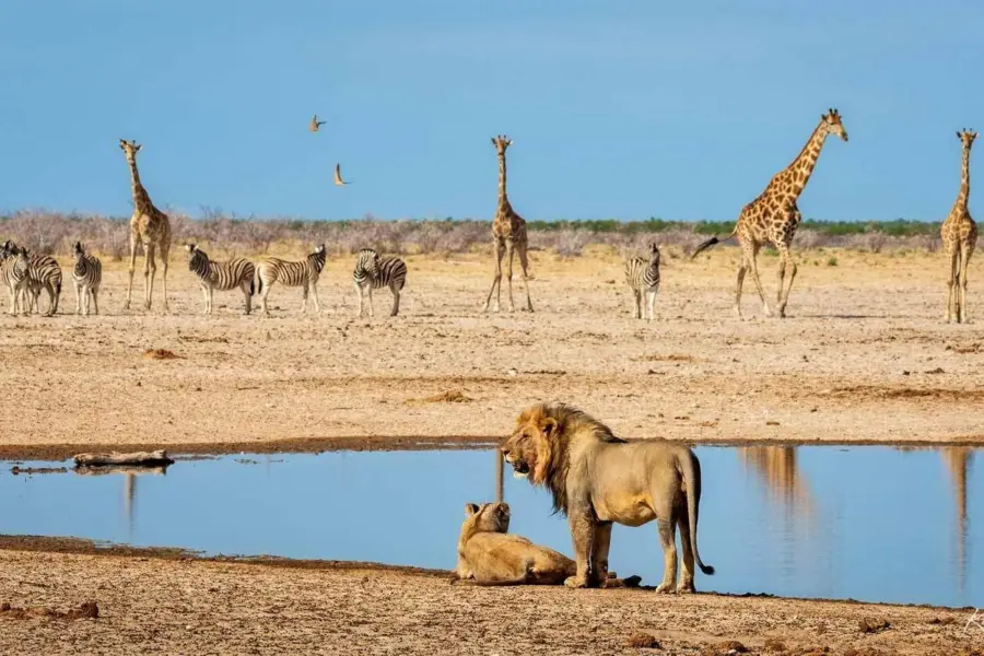 Day14 etosha 0051