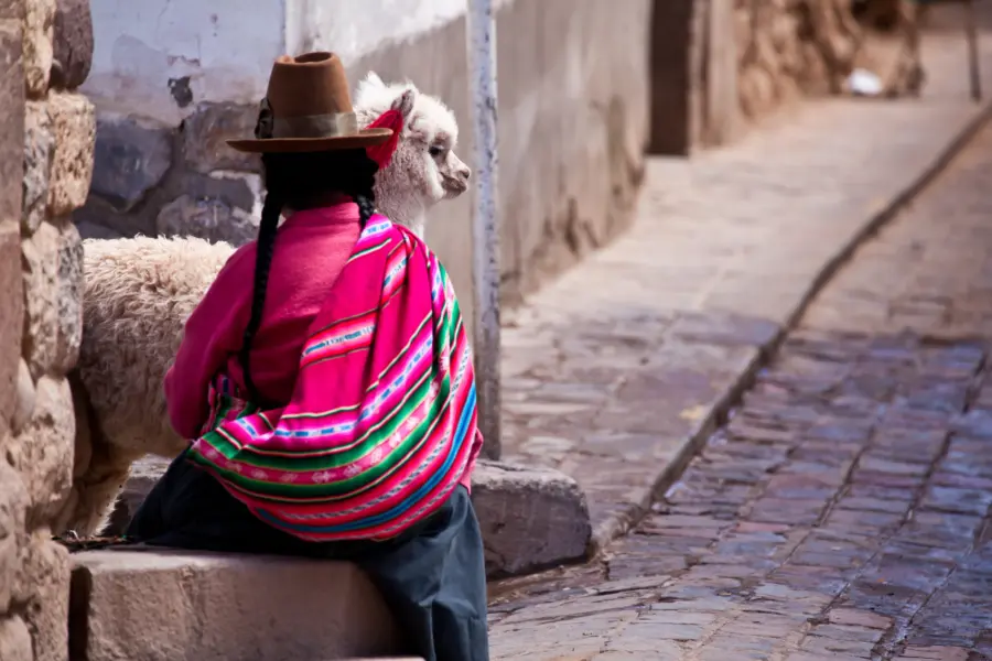Traditional Peruvian