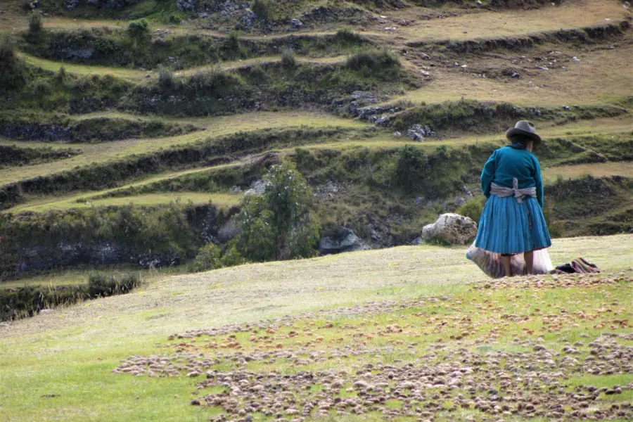 Maritza s u8rldamigoq unsplash