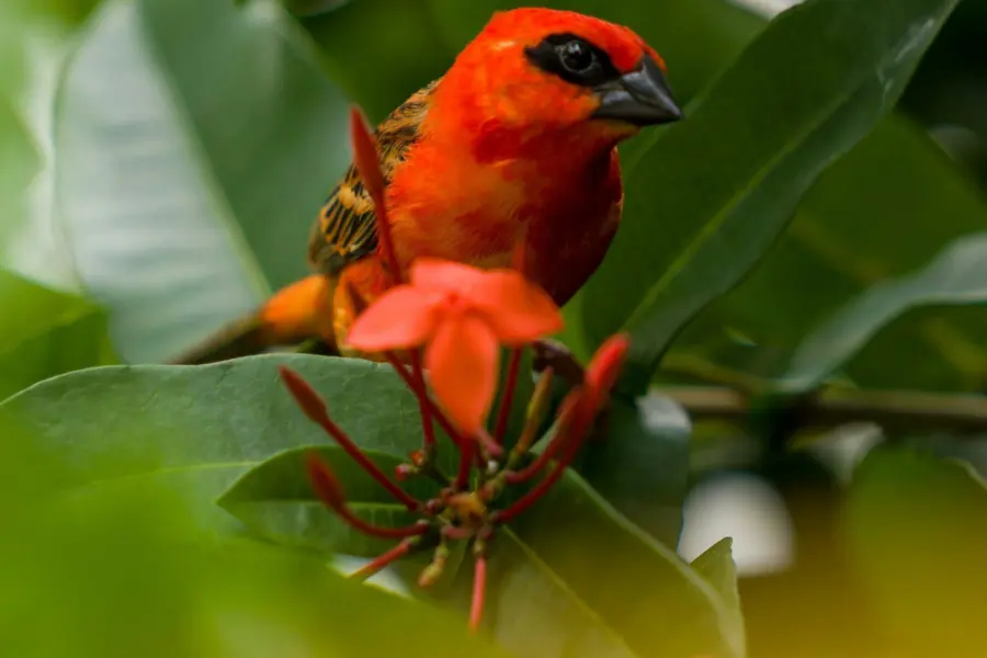 Chandu j s pd6wjssjvza unsplash