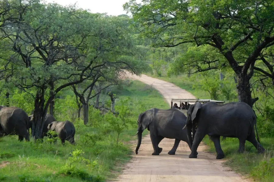 Kruger park1