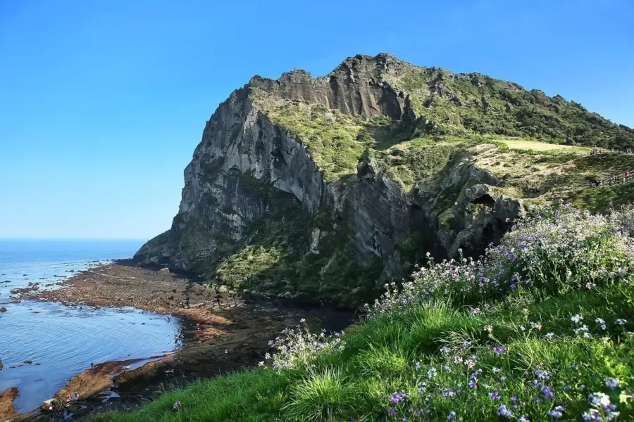 Jeju 45889101280