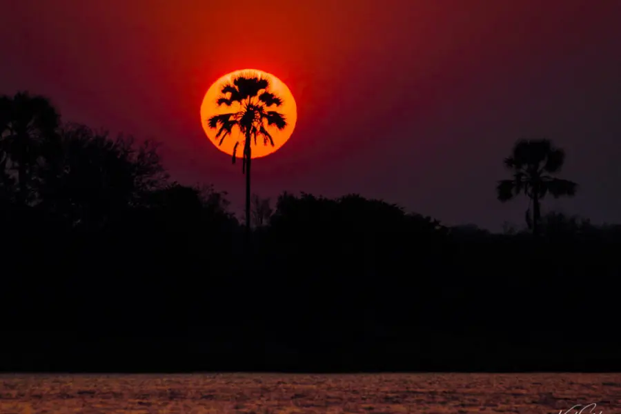 Day1 zambezi 002
