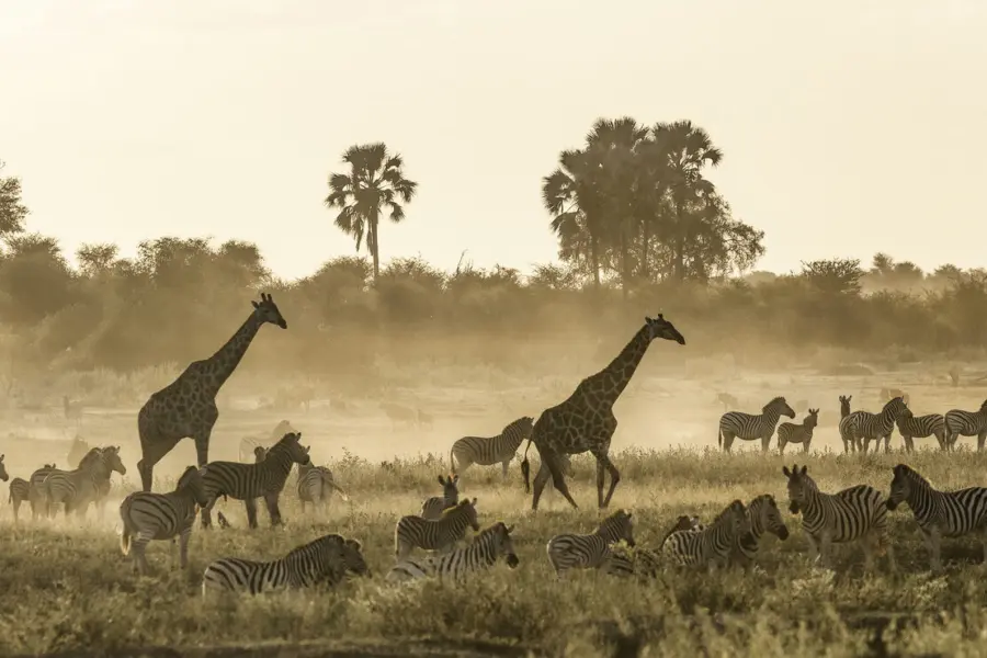 Istock 1540935140