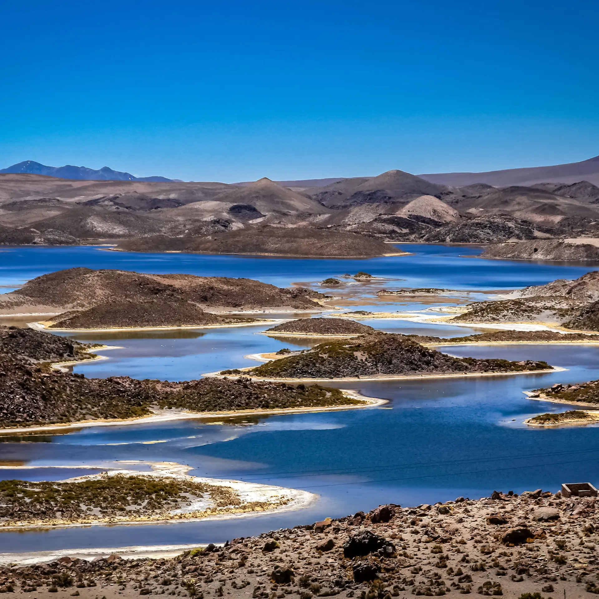 Laguna cotatotani in lauca national park