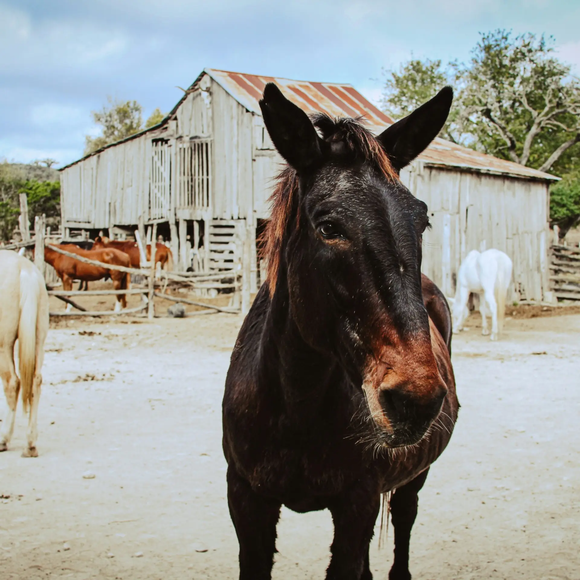 Polina Portnaya ufptdxrw80 Unsplash