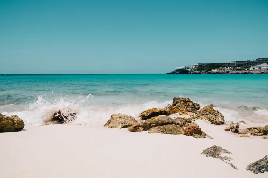 Rajvinder Singh zdzjlxlbeti unsplash1