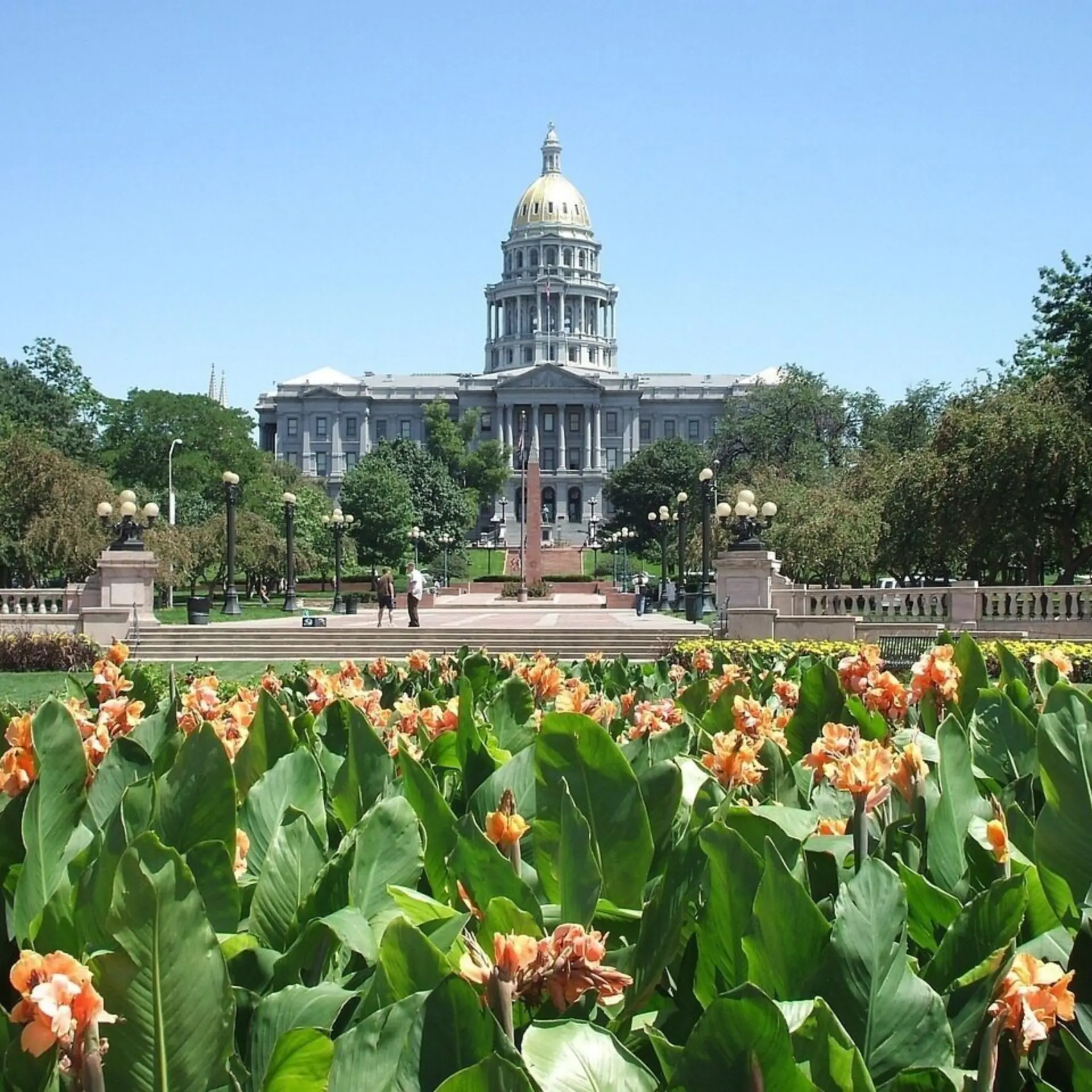 Denver 381310 1280
