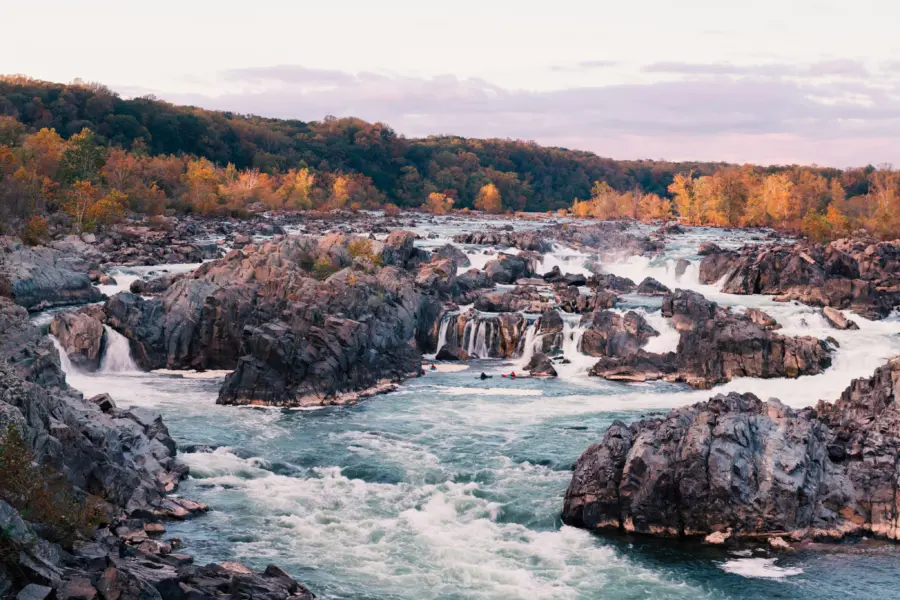 Srini somanchi d ZV 6 Gu Ir M unsplash
