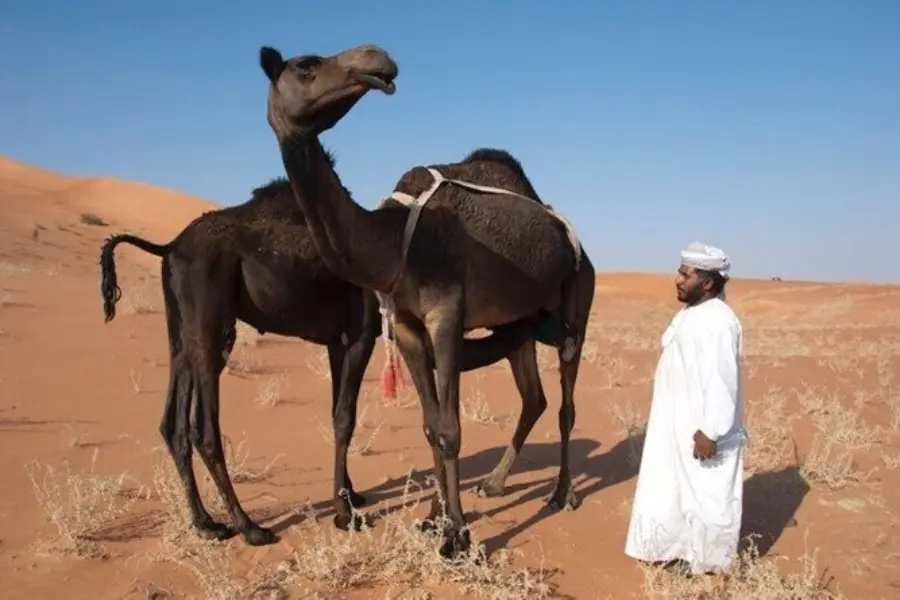 Rub al khalid desert tour 5