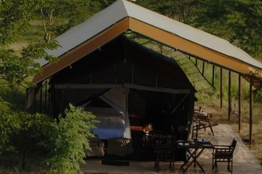 Central serengeti banner