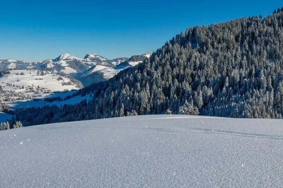 1769157696872mountains 468226612801